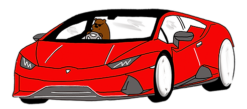 Bear driving a red sports car